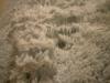 <img100*0:stuff/z/169023/Towel%252021/i1259800101_4.jpg>