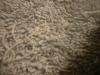<img100*0:stuff/z/169023/Towel%252021/i1259800101_6.jpg>