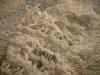 <img100*0:stuff/z/169023/Towel%252021/i1259800101_7.jpg>