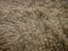 <img100*0:stuff/z/169023/Towel%252021/i1259800101_8.jpg>