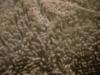 <img100*0:stuff/z/169023/Towel%252021/i1259800101_9.jpg>