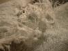 <img100*0:stuff/z/169023/Towel%252021/i1259800102_19.jpg>