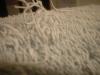 <img100*0:stuff/z/169023/Towel%252021/i1259800102_20.jpg>