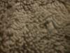 <img100*0:stuff/z/169023/Towel%252021/i1259800102_21.jpg>