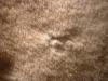 <img100*0:stuff/z/169023/Towel%252068/i1263583488_2.jpg>