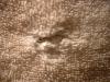 <img100*0:stuff/z/169023/Towel%252068/i1263583489_14.jpg>