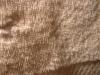 <img100*0:stuff/z/169023/Towel%252068/i1263583489_20.jpg>