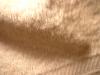 <img100*0:stuff/z/169023/Towel%252068/i1263583489_6.jpg>
