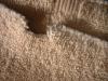 <img100*0:stuff/z/169023/Towel%252068/i1263583489_7.jpg>