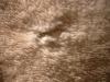 <img100*0:stuff/z/169023/Towel%252068/i1263583489_8.jpg>