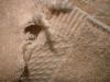 <img100*0:stuff/z/169023/Towel%252068/i1263583490_31.jpg>