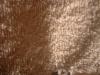 <img100*0:stuff/z/169023/Towel%252068/i1263583490_38.jpg>