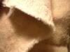 <img100*0:stuff/z/169023/Towel%252068/i1263583490_40.jpg>