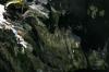 <img100*0:stuff/z/169023/Tree%2520Stock.1/i1277163273_5.jpg>