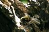<img100*0:stuff/z/169023/Tree%2520Stock.1/i1277163274_15.jpg>