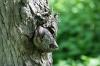 <img100*0:stuff/z/169023/Tree%2520Stock.1/i1277163275_25.jpg>