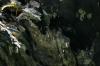 <img100*0:stuff/z/169023/Tree%2520Stock.1/i1277163275_26.jpg>