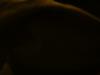 <img100*0:stuff/z/169023/UC%252019/i1259864446_16.jpg>