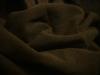 <img100*0:stuff/z/169023/UC%252019/i1259864447_29.jpg>