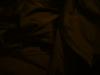 <img100*0:stuff/z/169023/UC%252019/i1259864447_31.jpg>