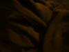 <img100*0:stuff/z/169023/UC%252019/i1259864447_36.jpg>