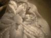 <img100*0:stuff/z/169023/UC%252041/i1259863155_12.jpg>