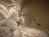 <img100*0:stuff/z/169023/UC%252041/i1259863155_17.jpg>