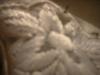 <img100*0:stuff/z/169023/UC%252041/i1259863155_23.jpg>