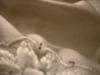 <img100*0:stuff/z/169023/UC%252041/i1259863156_41.jpg>