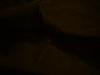 <img100*0:stuff/z/169023/UC%252060/i1259864516_1.jpg>