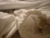 <img100*0:stuff/z/169023/UC%252060/i1259864517_11.jpg>