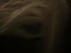 <img100*0:stuff/z/169023/UC%252060/i1259864517_14.jpg>