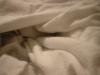 <img100*0:stuff/z/169023/UC%252060/i1259864517_17.jpg>