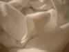 <img100*0:stuff/z/169023/UC%252060/i1259864517_22.jpg>