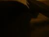<img100*0:stuff/z/169023/UC%252060/i1259864517_8.jpg>