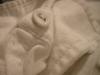 <img100*0:stuff/z/169023/UC%252060/i1259864518_24.jpg>