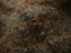 <img100*0:stuff/z/169023/UC%252082/i1259863328_6.jpg>