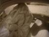 <img100*0:stuff/z/169023/UC%252082/i1259863329_13.jpg>