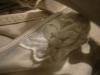<img100*0:stuff/z/169023/UC%252082/i1259863330_34.jpg>