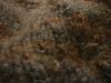 <img100*0:stuff/z/169023/UC%252082/i1259863330_37.jpg>