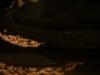<img100*0:stuff/z/169023/UC2%2520006/i1259862949_6.jpg>