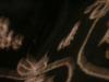 <img100*0:stuff/z/169023/UC2%2520006/i1259862949_8.jpg>