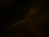 <img100*0:stuff/z/169023/UC2%2520006/i1259862950_13.jpg>