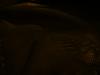 <img100*0:stuff/z/169023/UC2%2520006/i1259862950_19.jpg>
