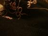 <img100*0:stuff/z/169023/UC2%2520006/i1259862950_20.jpg>
