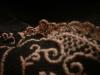 <img100*0:stuff/z/169023/UC2%2520006/i1259862950_23.jpg>