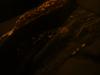 <img100*0:stuff/z/169023/UC2%2520006/i1259862951_31.jpg>
