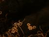 <img100*0:stuff/z/169023/UC2%2520006/i1259862951_36.jpg>