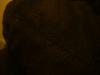 <img100*0:stuff/z/169023/UC2%2520006/i1259862951_40.jpg>
