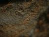<img100*0:stuff/z/169023/UC4%2520003/i1259863604_10.jpg>